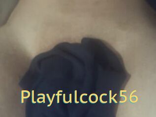 Playfulcock56