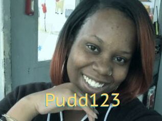 Pudd123