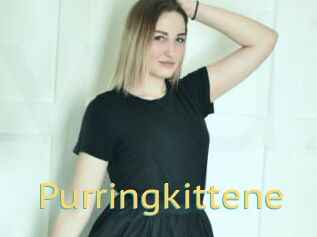 Purringkittene