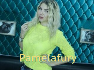 Pamelafury