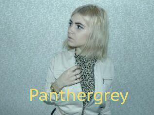 Panthergrey