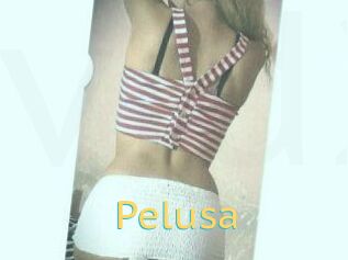 Pelusa