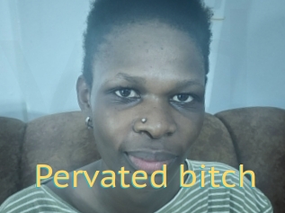 Pervated_bitch