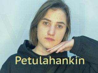 Petulahankin