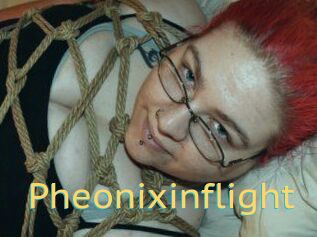 Pheonixinflight