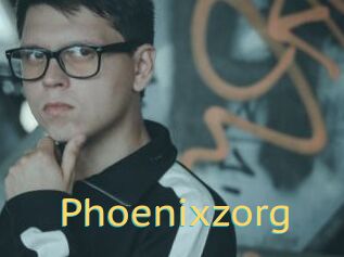 Phoenixzorg