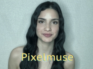 Pixelmuse