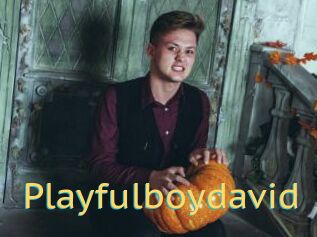 Playfulboydavid