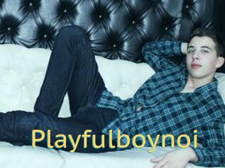 Playfulboynoi