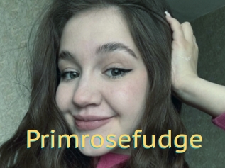 Primrosefudge