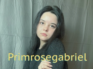 Primrosegabriel