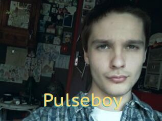 Pulseboy