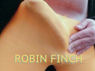 ROBIN_FINCH