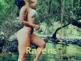 Ravens