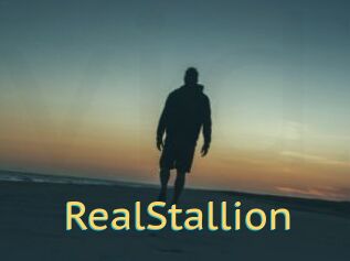 RealStallion