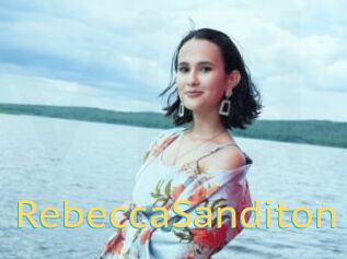 RebeccaSanditon