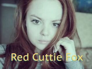 Red_Cuttie_Fox