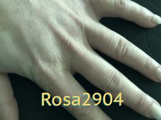 Rosa2904