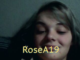 RoseA19