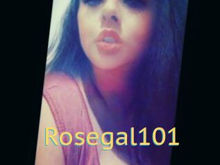 Rosegal101