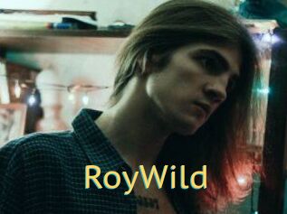 RoyWild