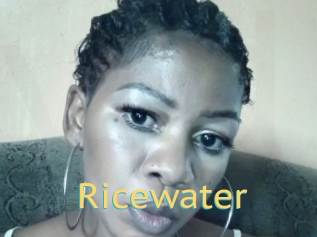 Ricewater