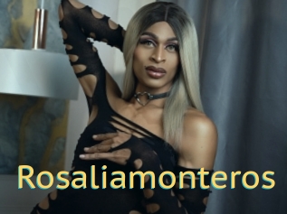 Rosaliamonteros