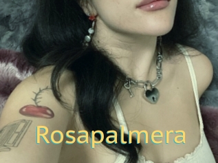 Rosapalmera