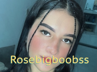 Rosebigboobss