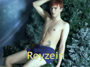 Royzein