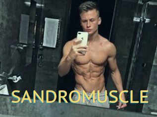 SANDRO_MUSCLE