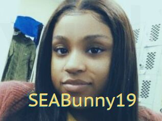 SEABunny19