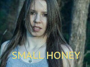 SMALL_HONEY