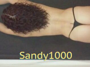 Sandy1000