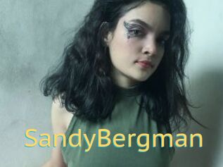 SandyBergman