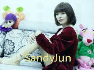 SandyJun