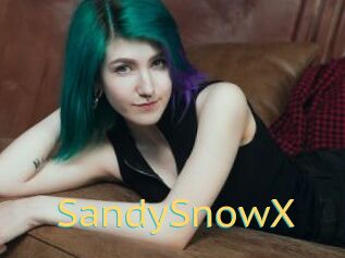 SandySnowX