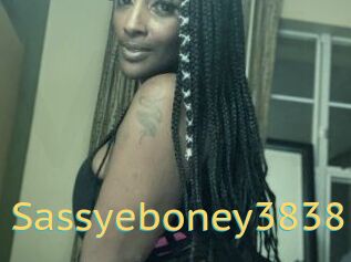 Sassyeboney3838