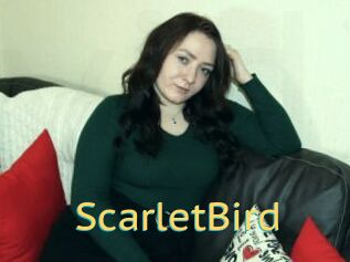 ScarletBird