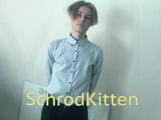 SchrodKitten