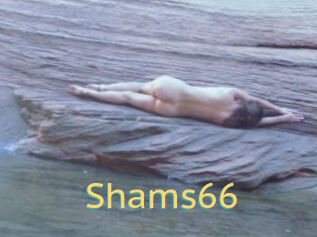 Shams66