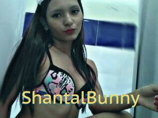 ShantalBunny