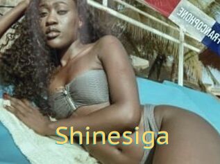 Shinesiga