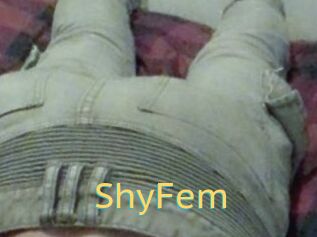 ShyFem