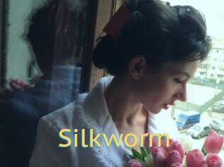 Silkworm