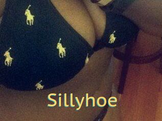 Sillyhoe