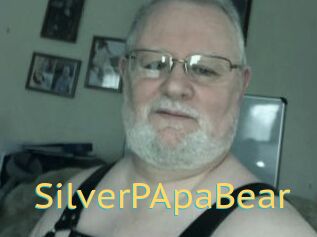 SilverPApaBear