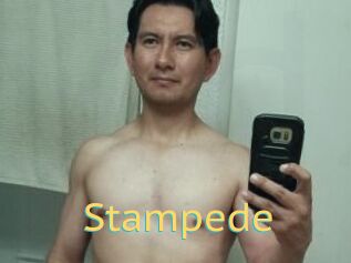 Stampede
