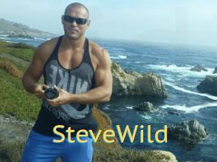 Steve_Wild