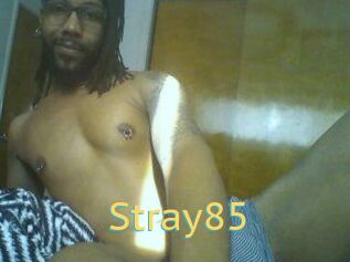 Stray85